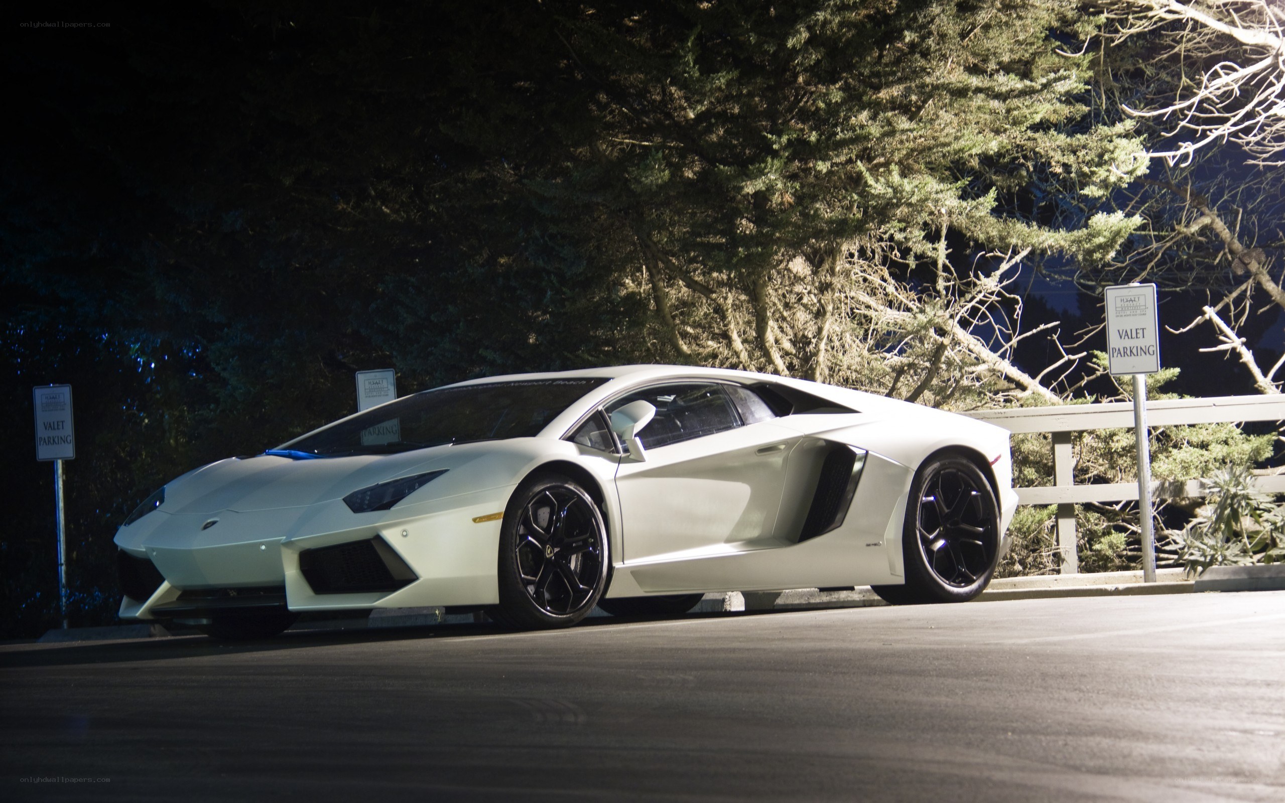 White Lamborghini at valet parking