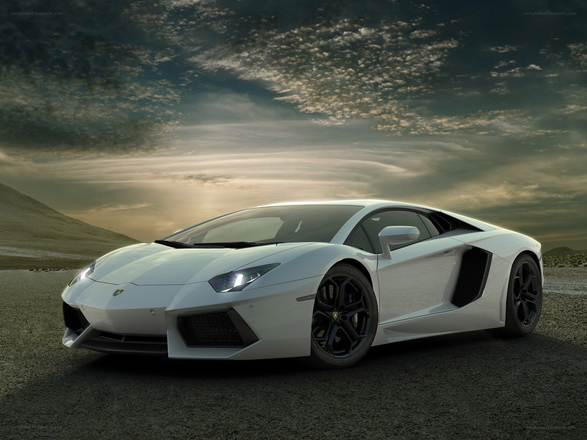 White Lamborghini Aventador