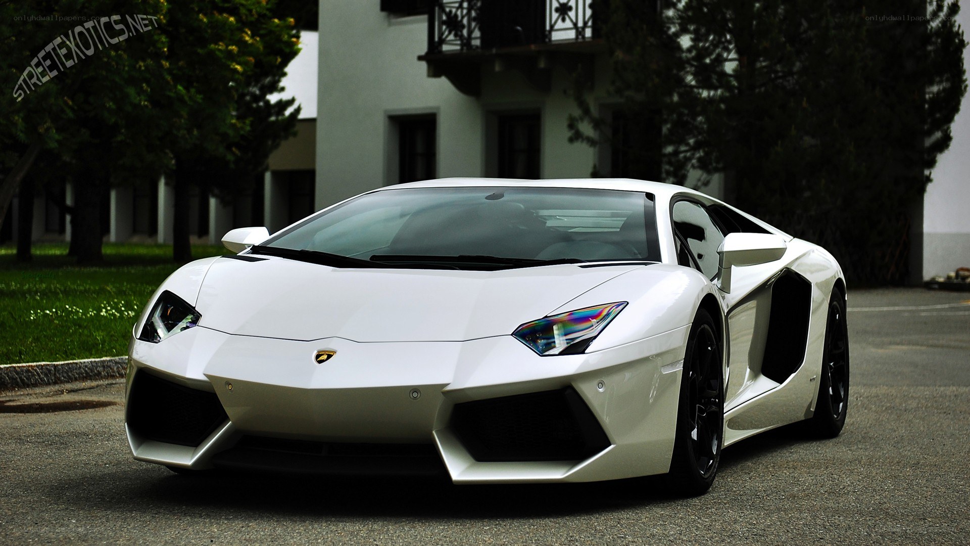 White Lamborghini Aventador