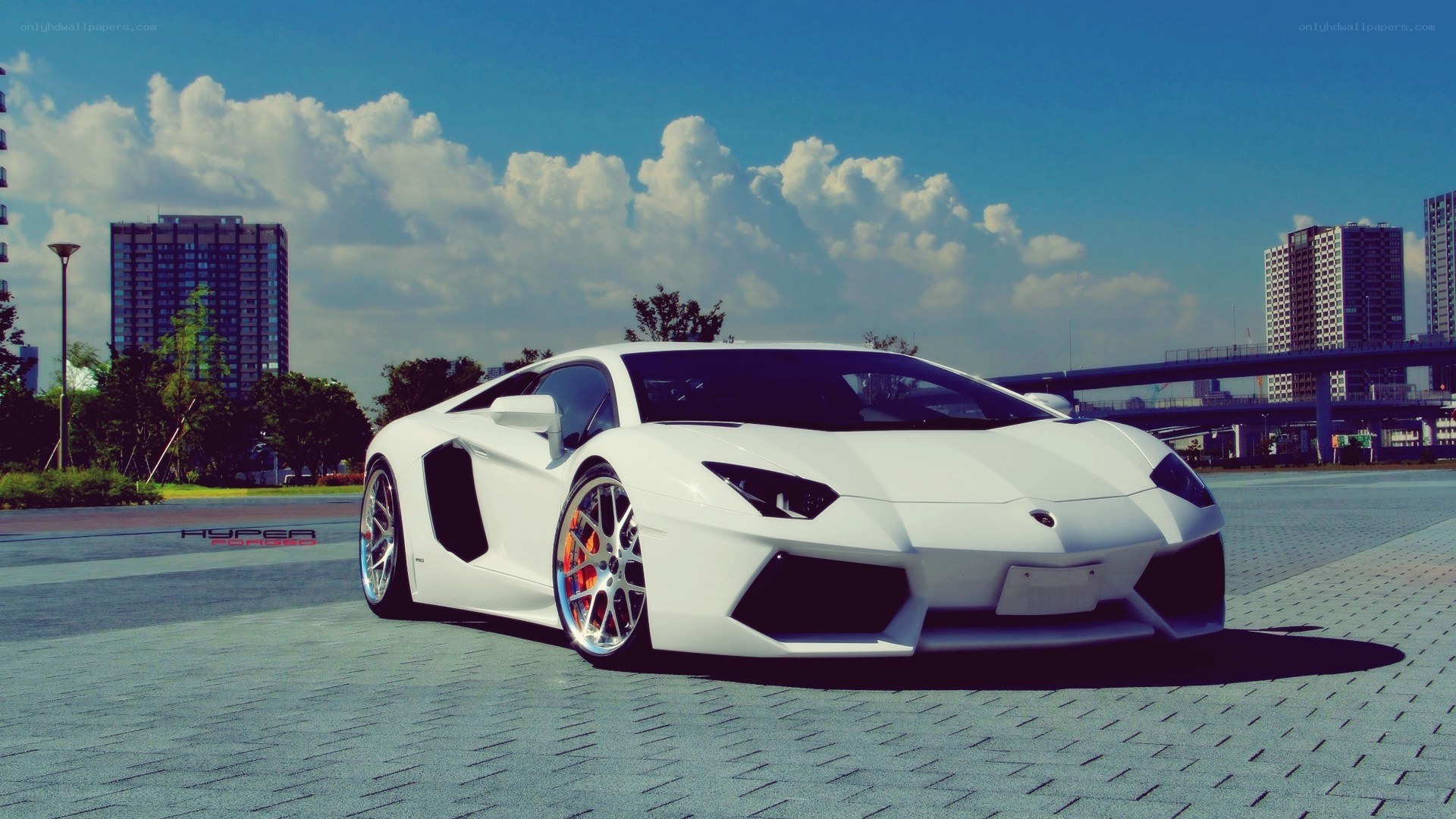 White Lamborghini Aventador