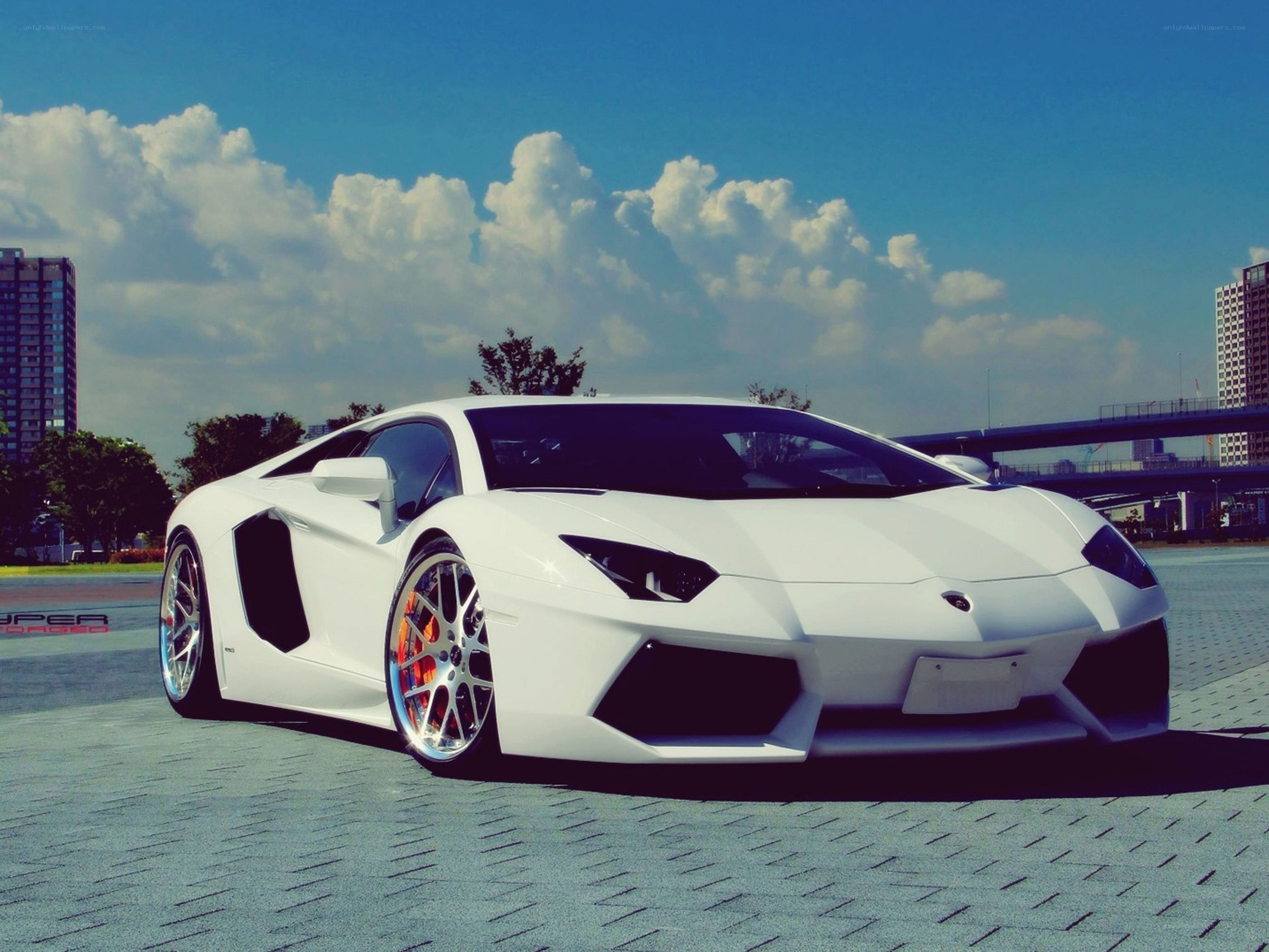 White Lamborghini Aventador