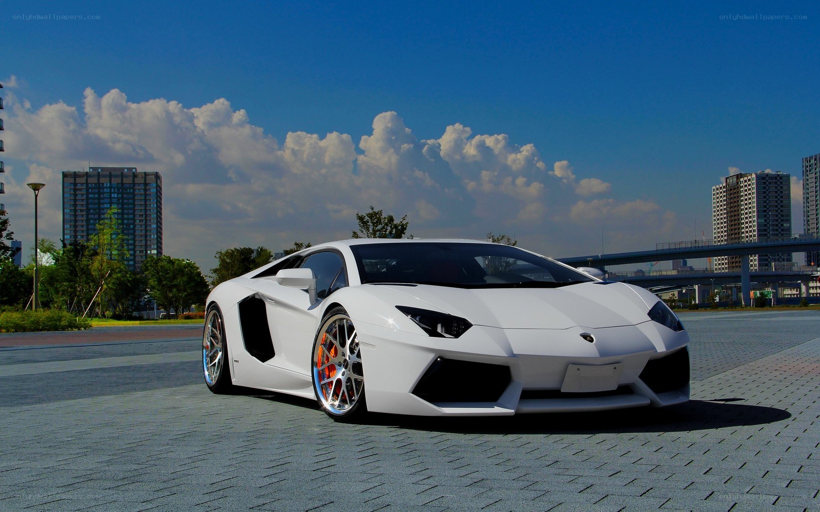White Lamborghini Aventador