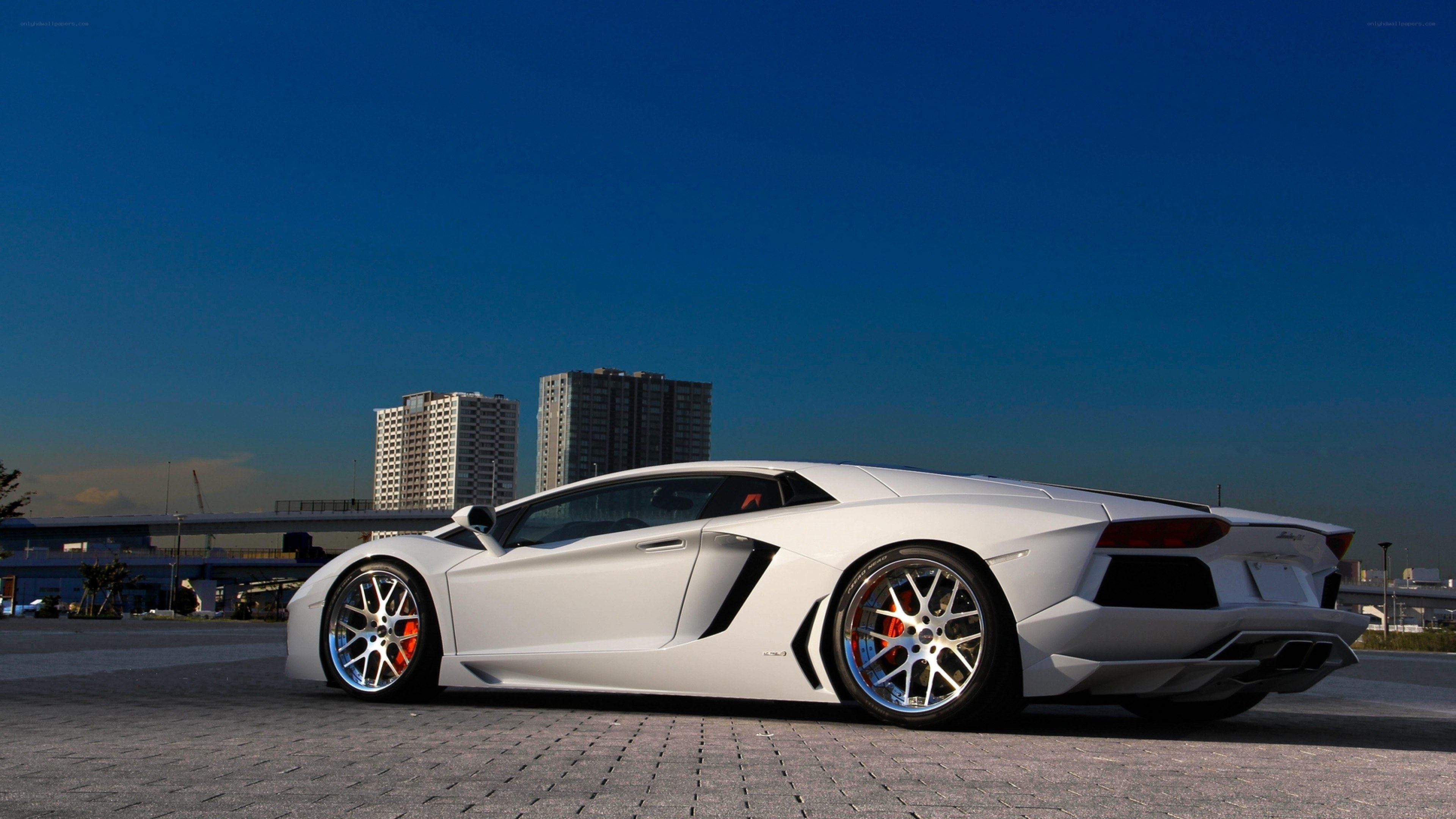White Lamborghini Aventador