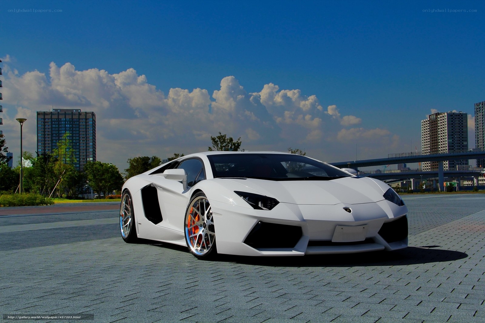 White Lamborghini Aventador