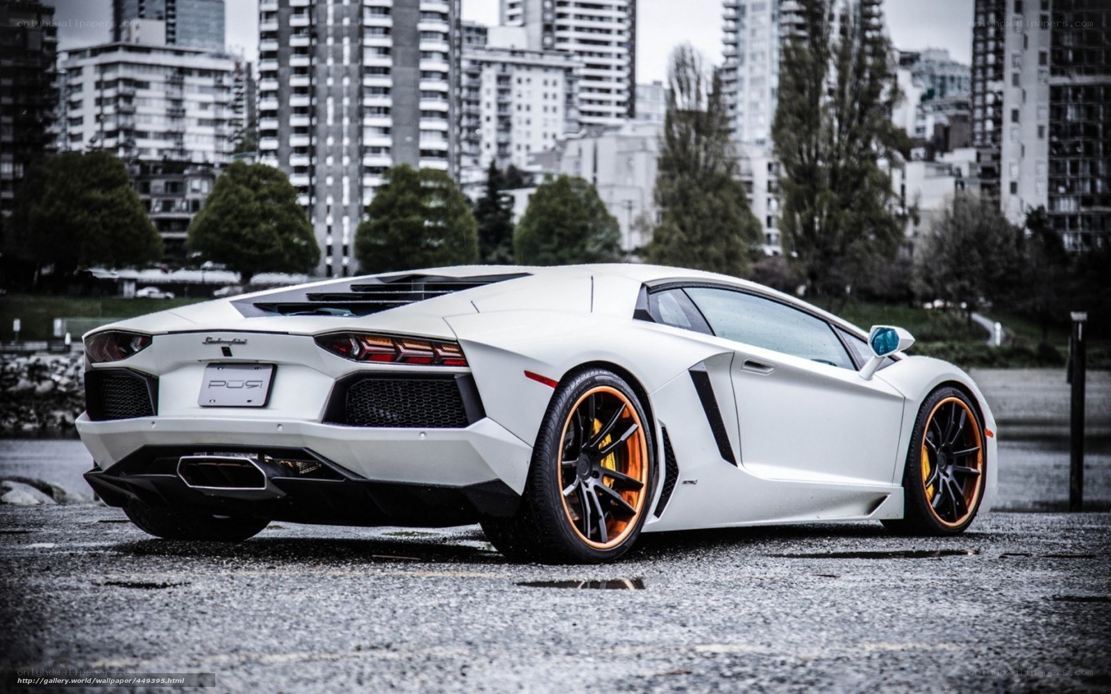 White Lamborghini Aventador