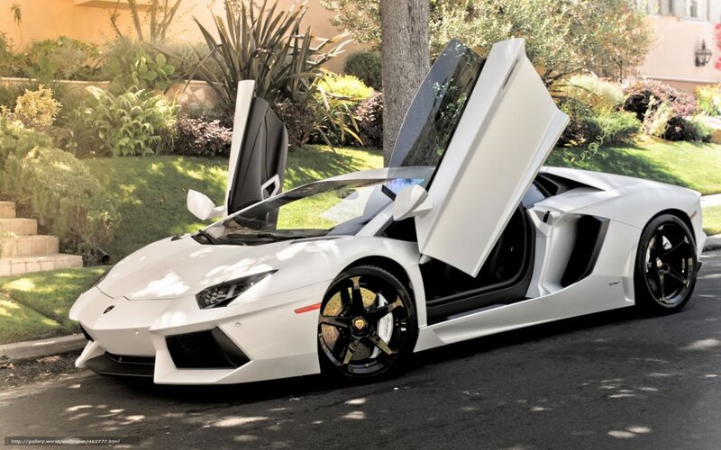 White Lamborghini Aventador — Dramatic, Afternoon, Photograph, Car, Door