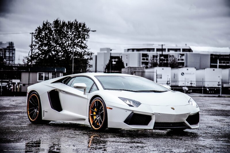 White Lamborghini Aventador — Dramatic, Photograph, Wet Pavement