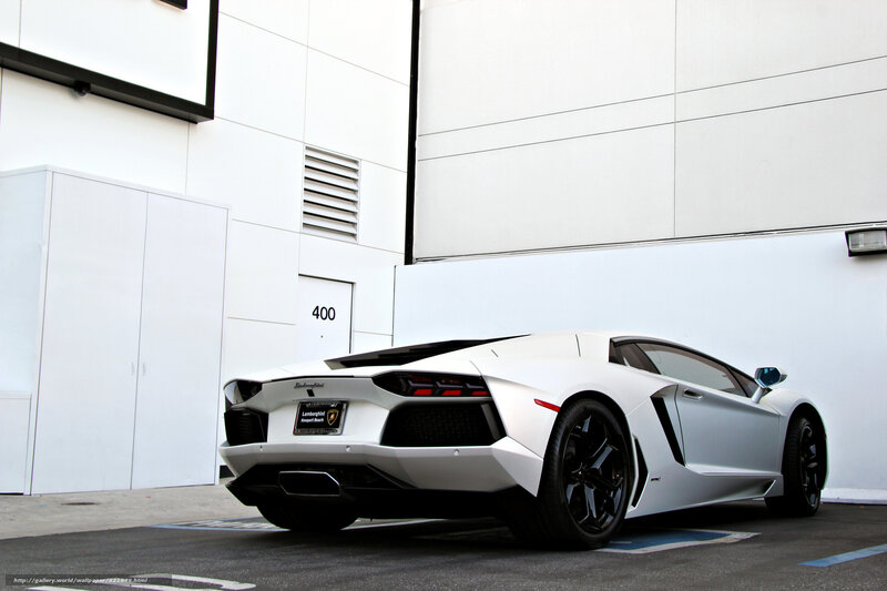 White Lamborghini Aventador — Modern