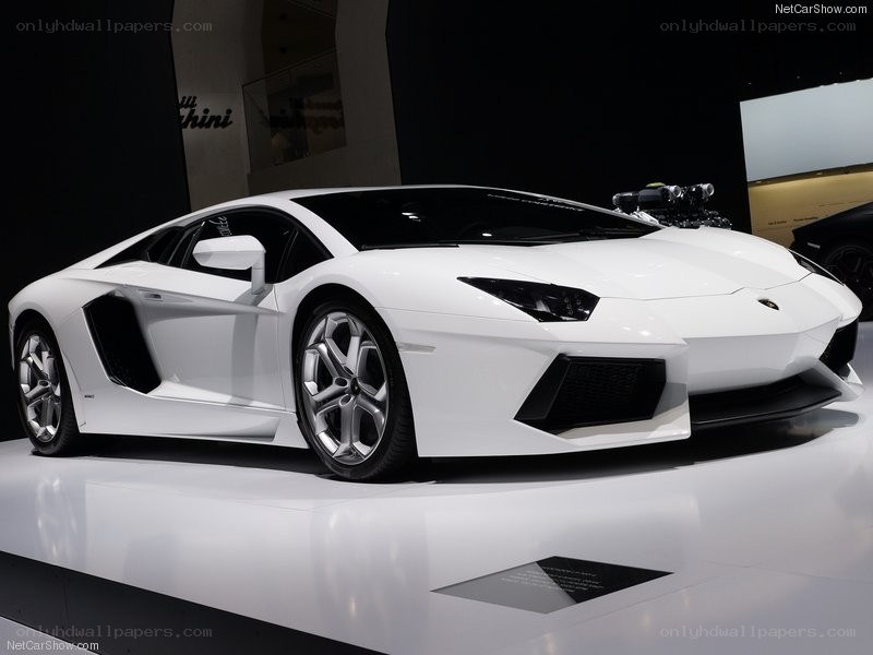 White Lamborghini Aventador on display