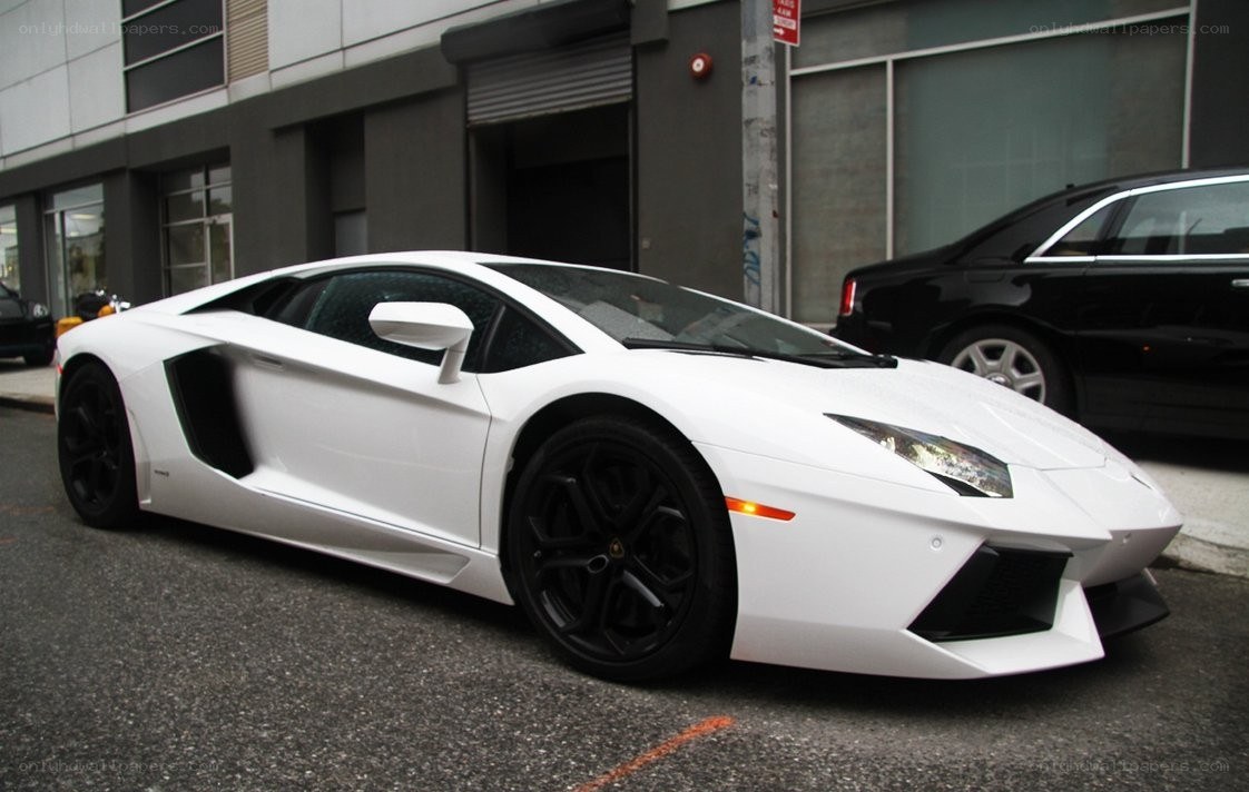 White Lamborghini Aventador parked