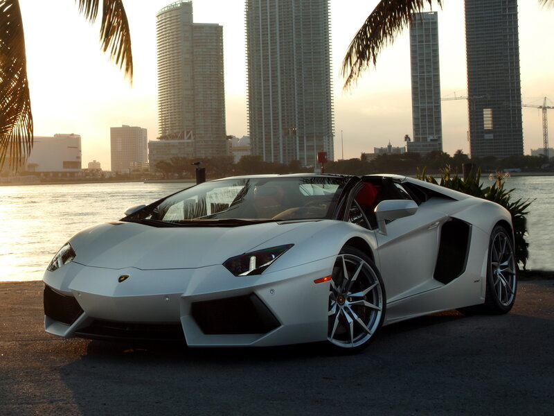 White Lamborghini Aventador — Serene