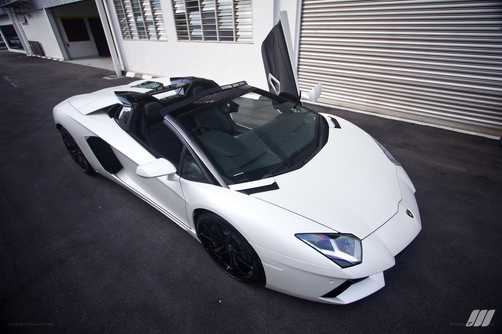 White Lamborghini Aventador Spyder