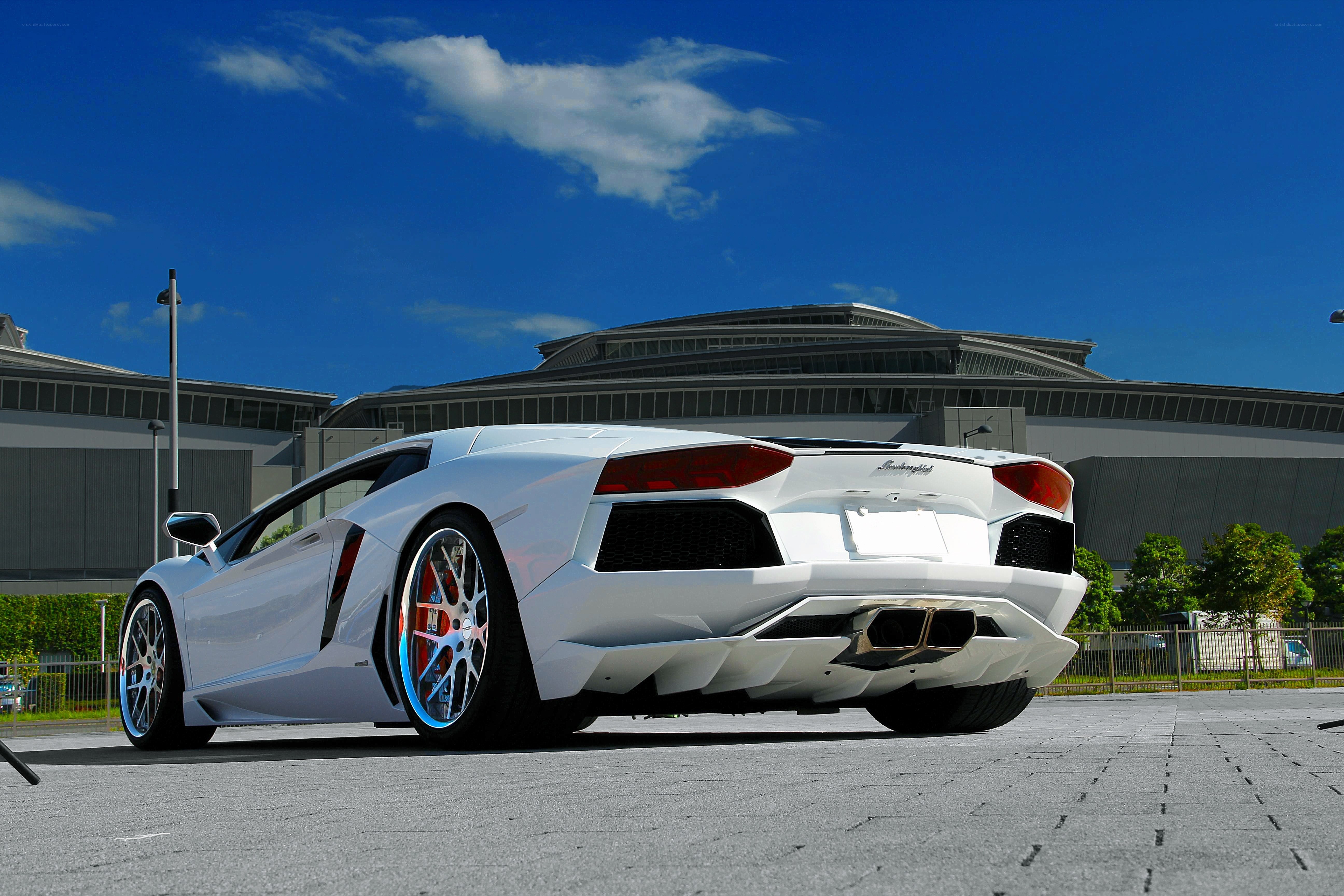 White Lamborghini Aventador