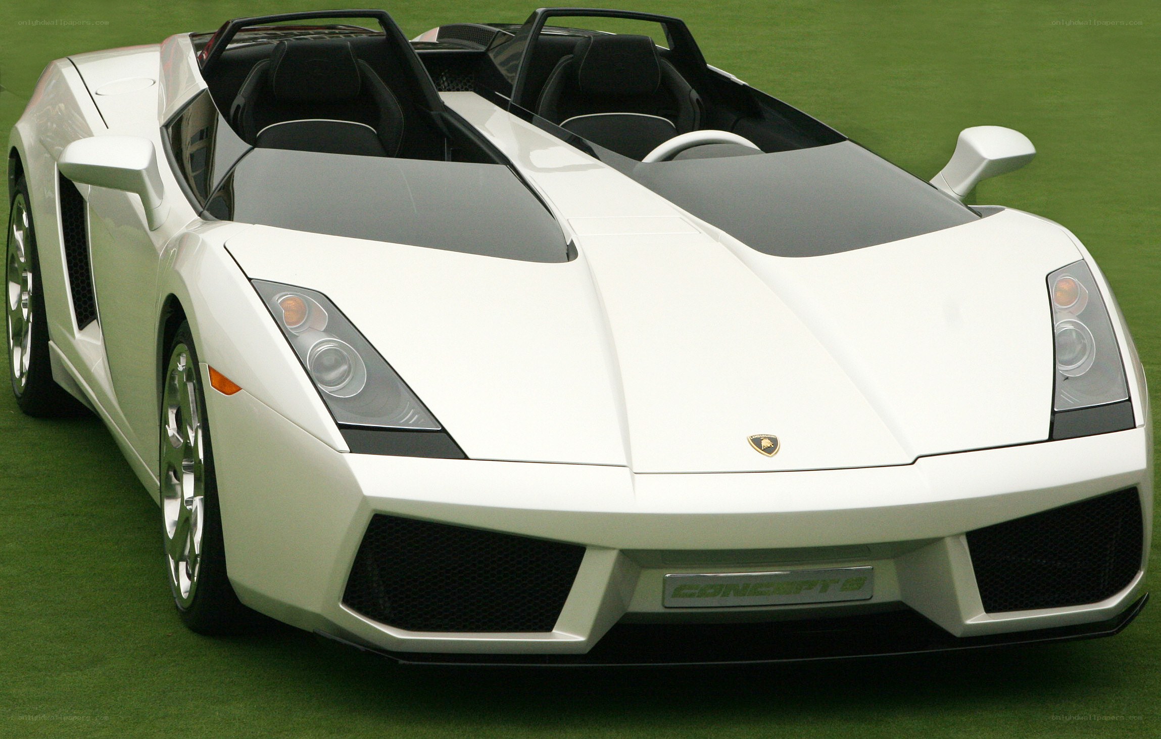White Lamborghini Concept Car