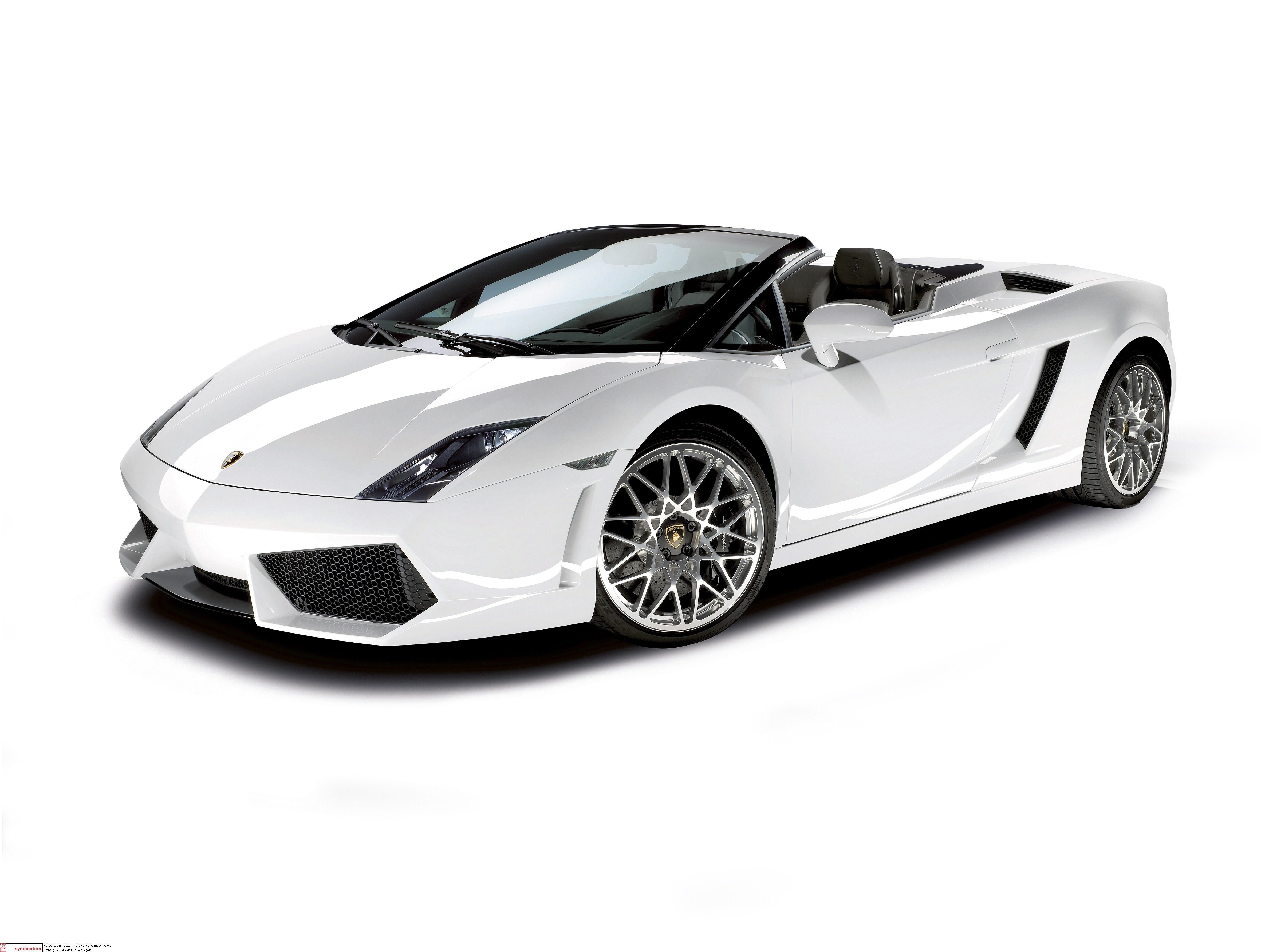 white lamborghini convertible