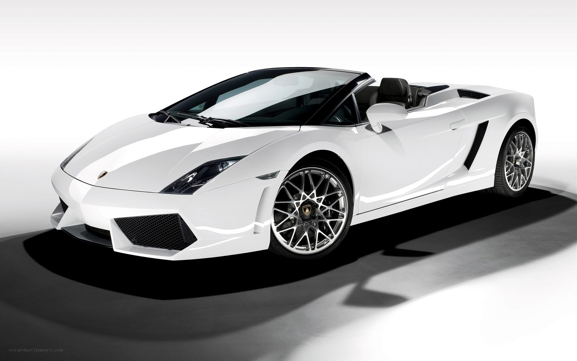 white lamborghini convertible