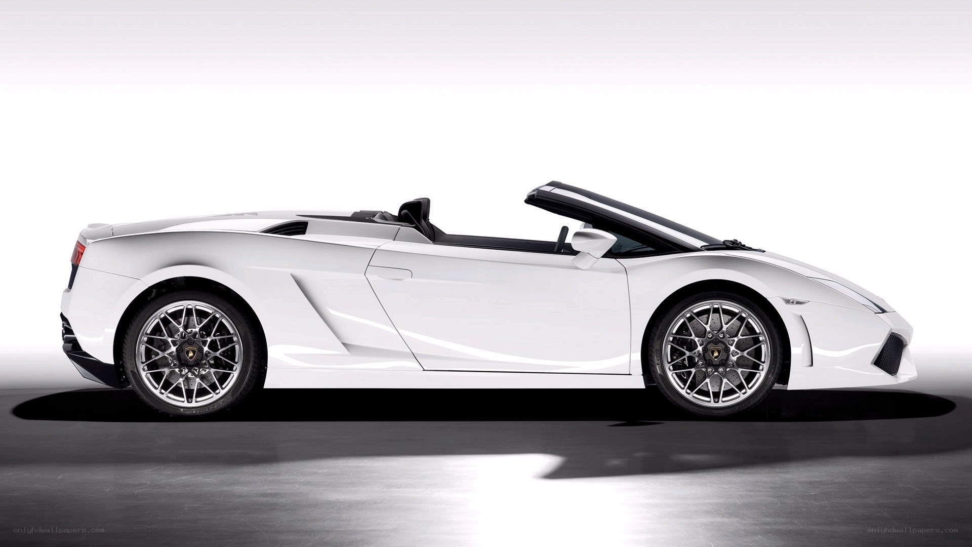 white lamborghini convertible