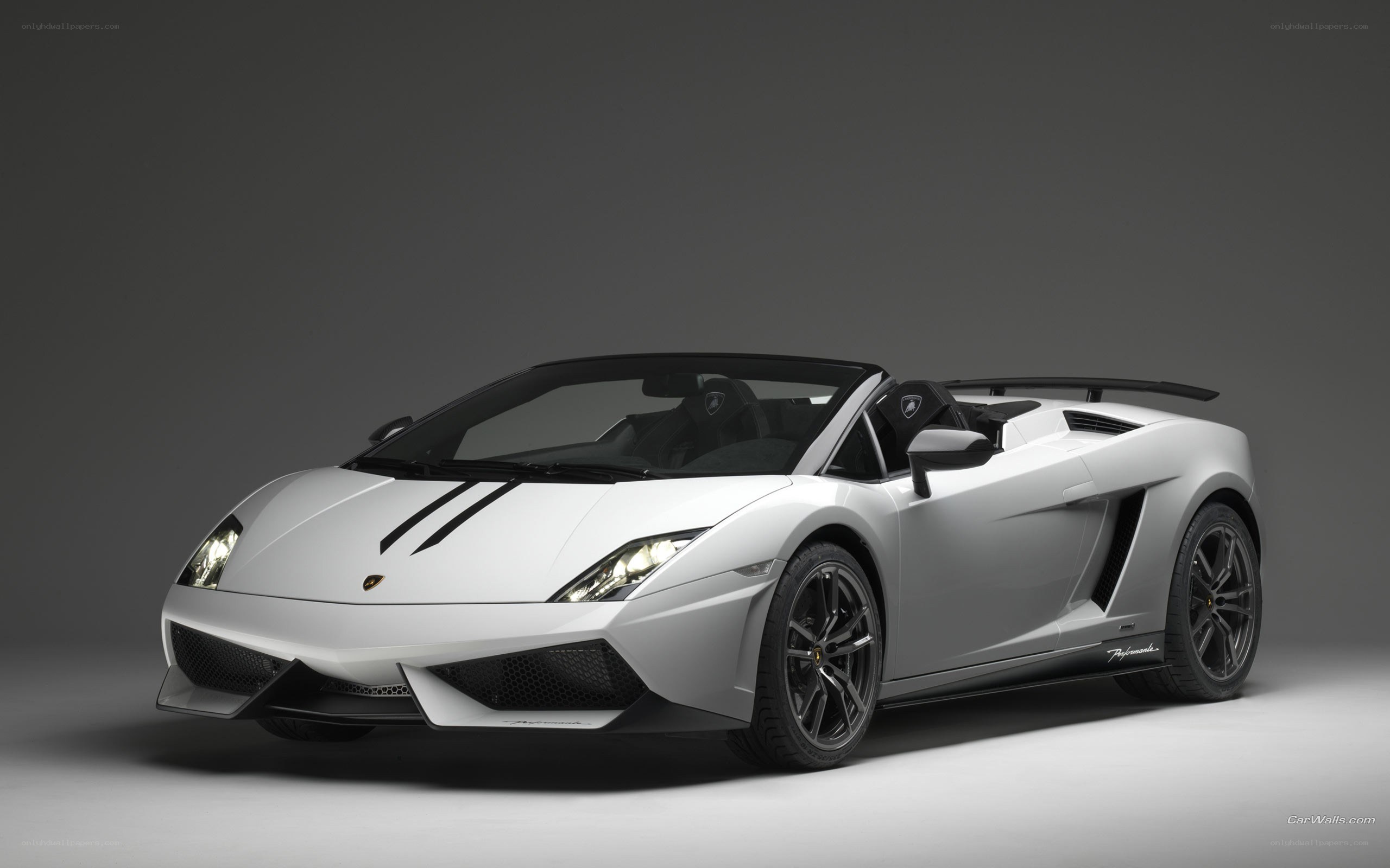 white lamborghini convertible