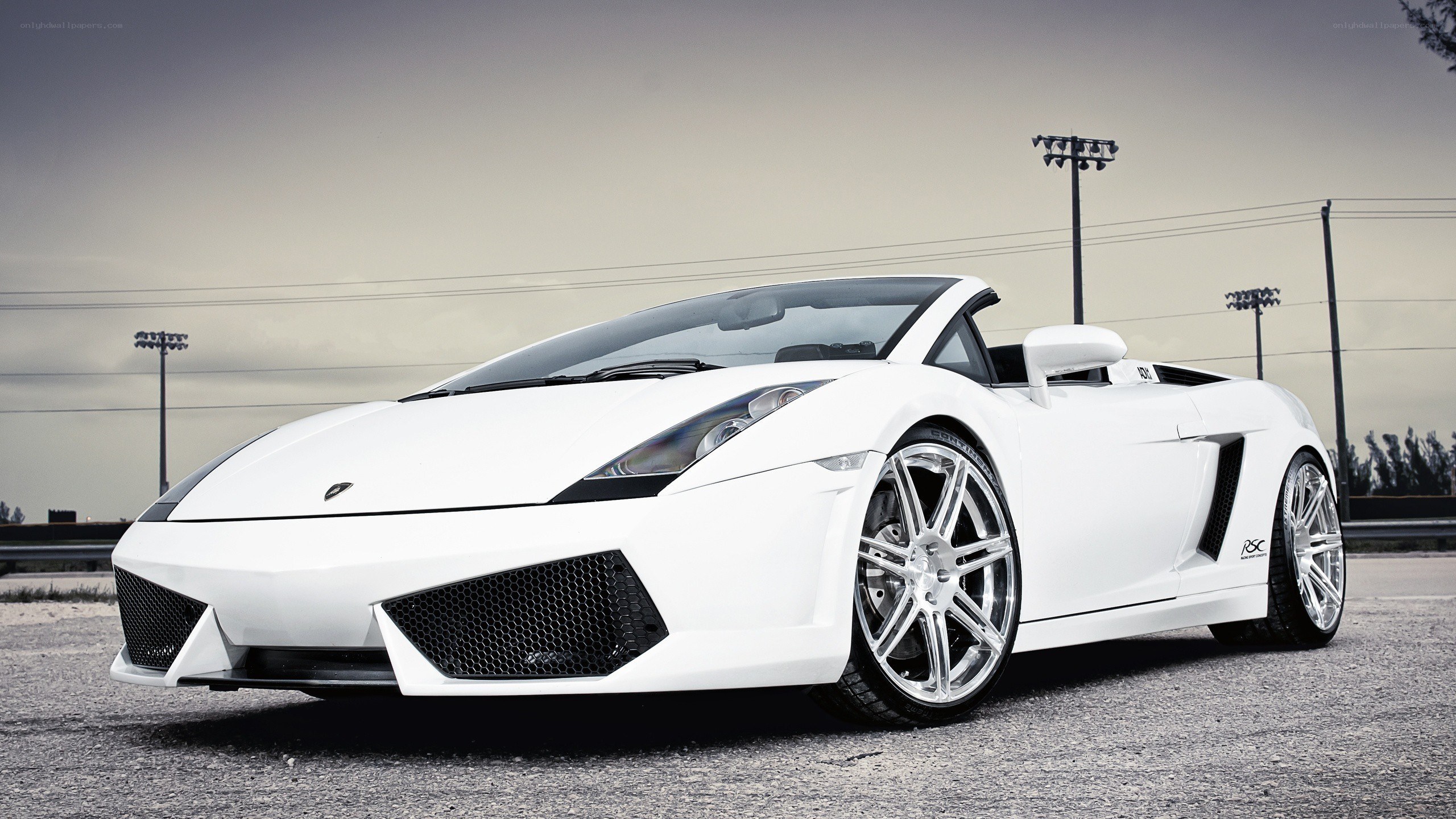 white lamborghini convertible