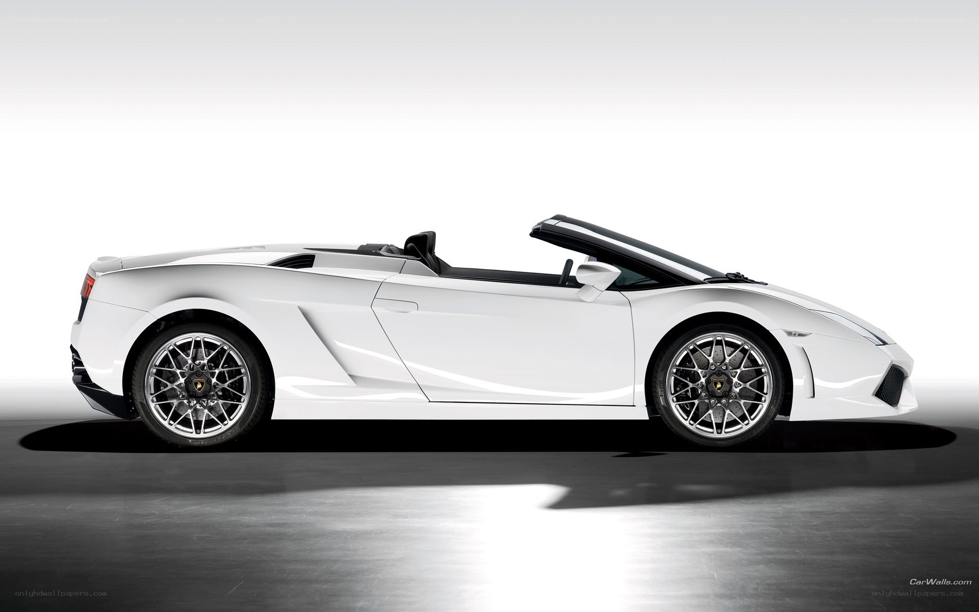 white lamborghini convertible