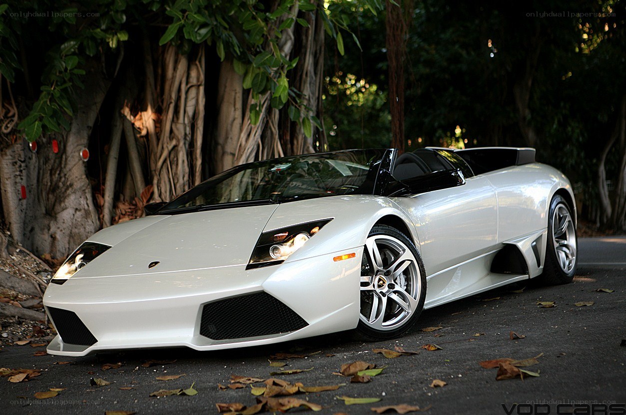 White Lamborghini convertible