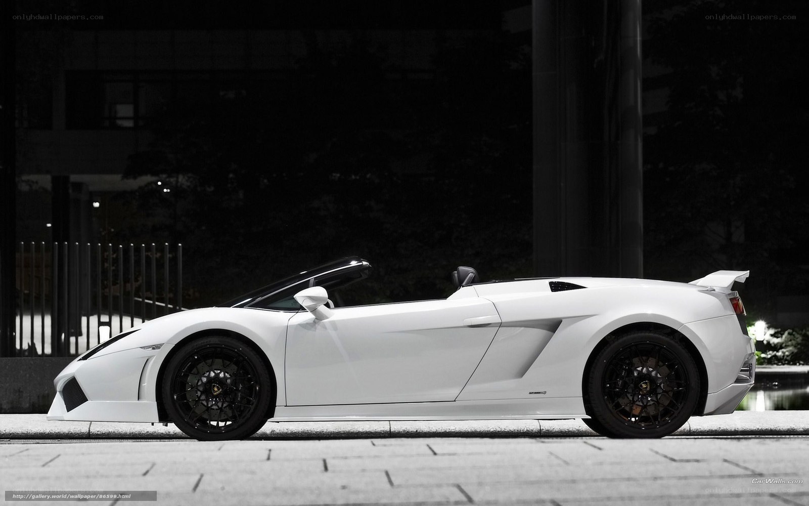 White Lamborghini convertible at night