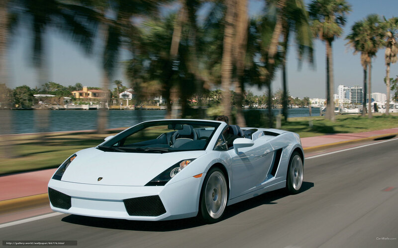 White Lamborghini convertible driving