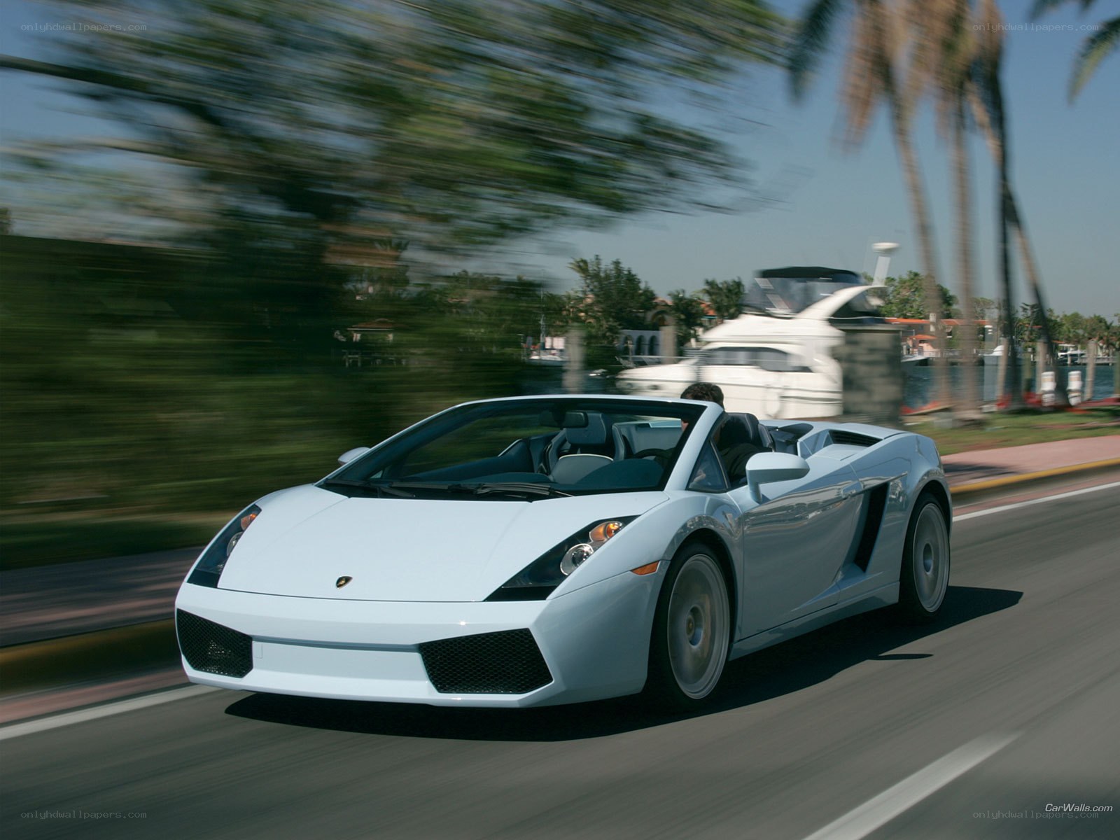 White Lamborghini convertible in motion