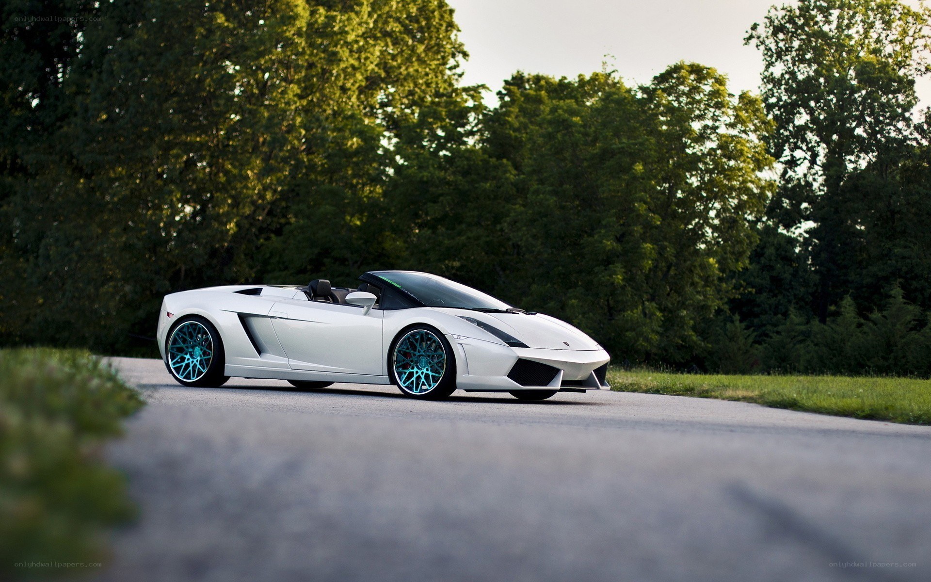 White Lamborghini convertible on road