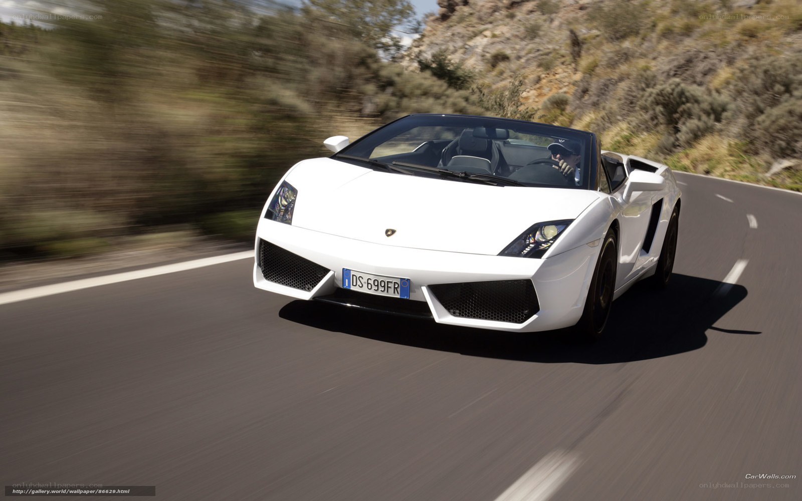 White Lamborghini convertible on road