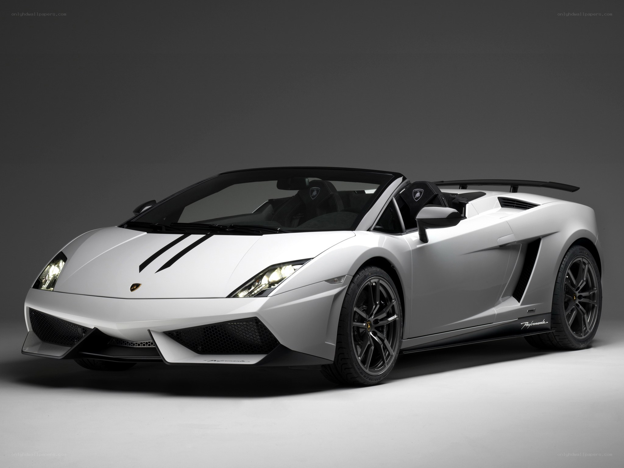 White Lamborghini convertible sports car