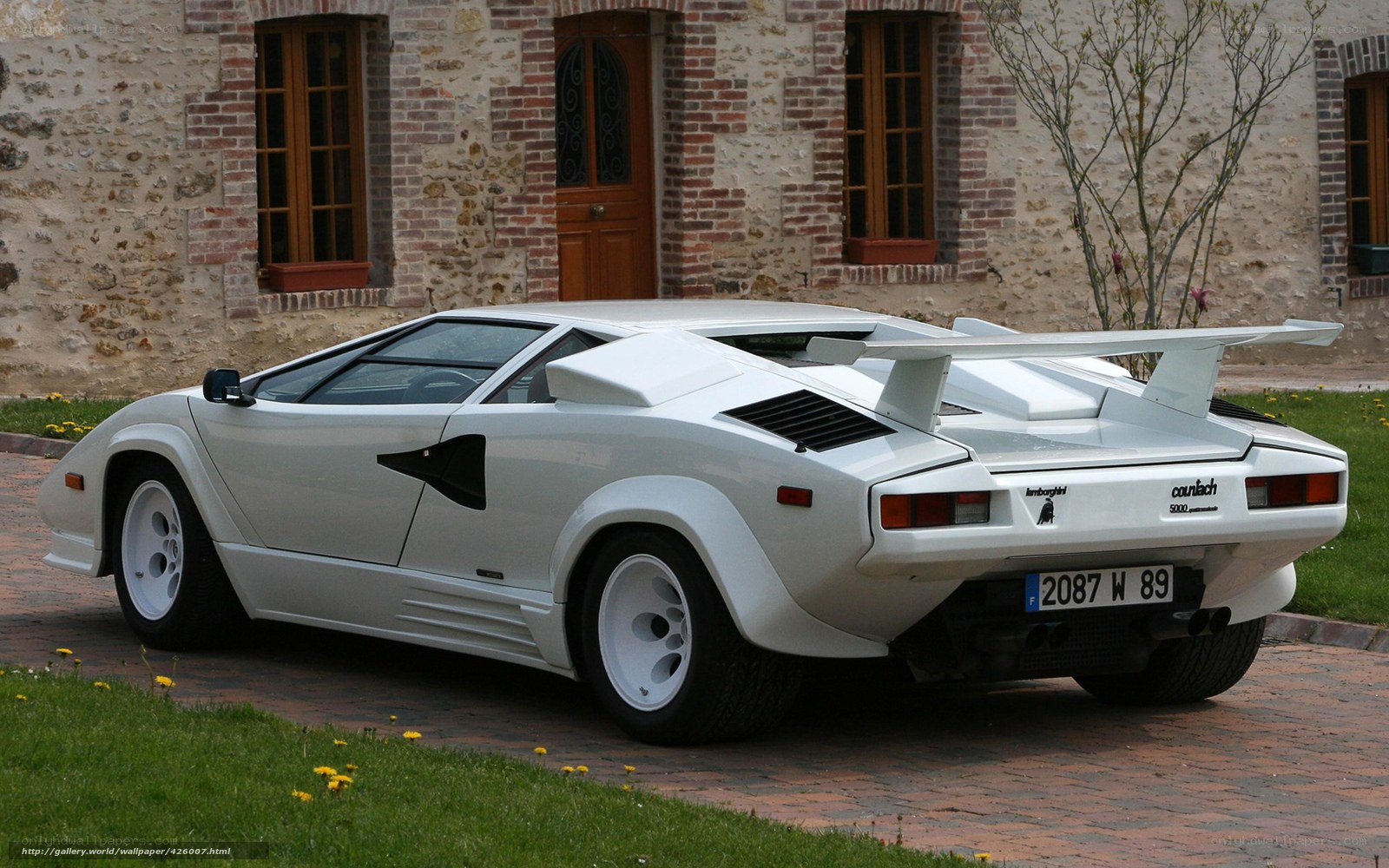 White Lamborghini Countach