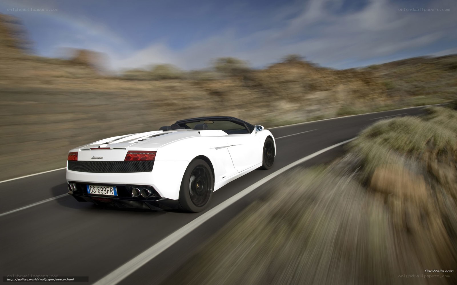 white lamborghini driving on road