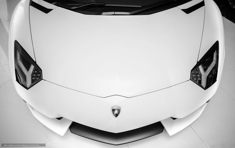 White Lamborghini front view