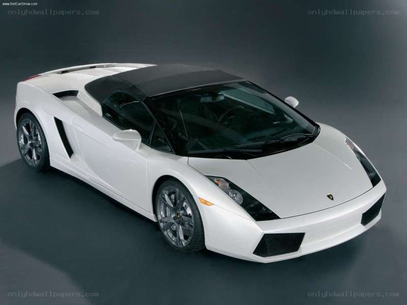 white lamborghini gallardo