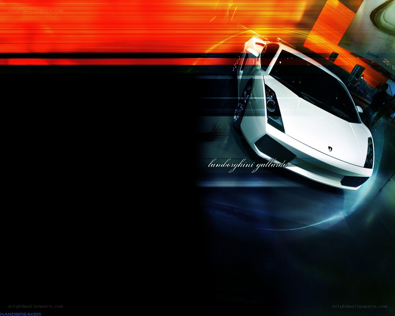 White Lamborghini Gallardo