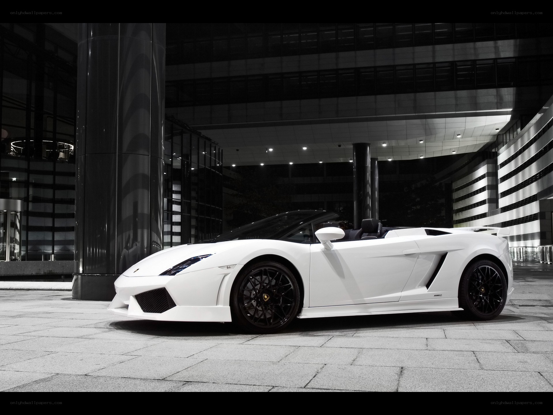 White Lamborghini Gallardo