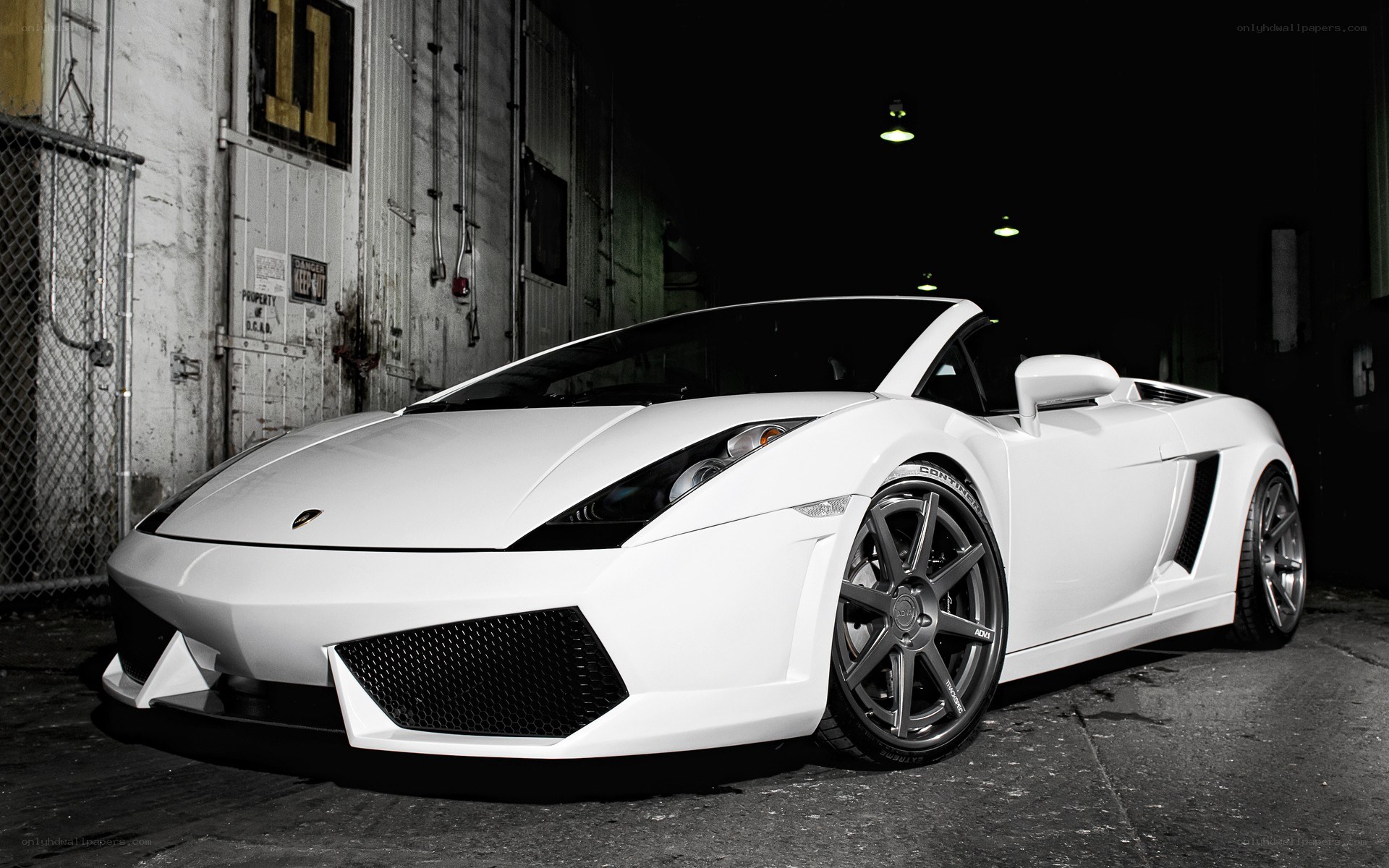 White Lamborghini Gallardo