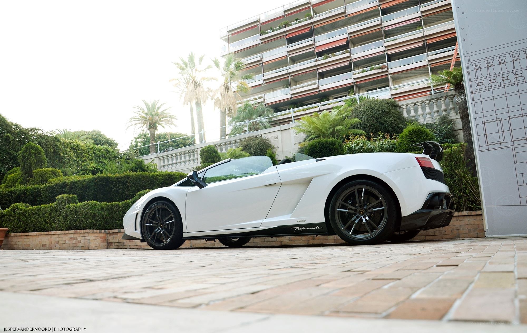 White Lamborghini Gallardo