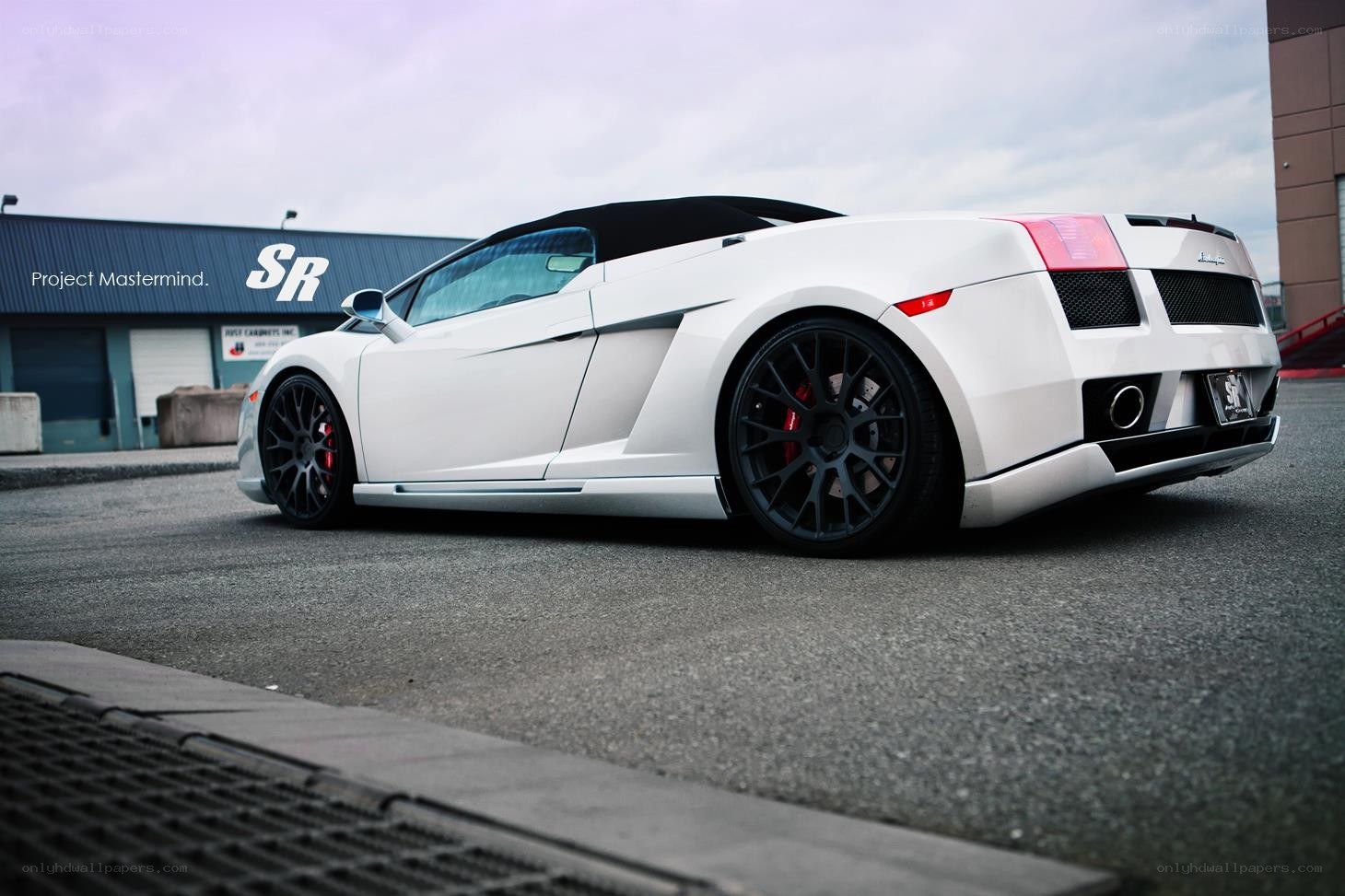 White Lamborghini Gallardo