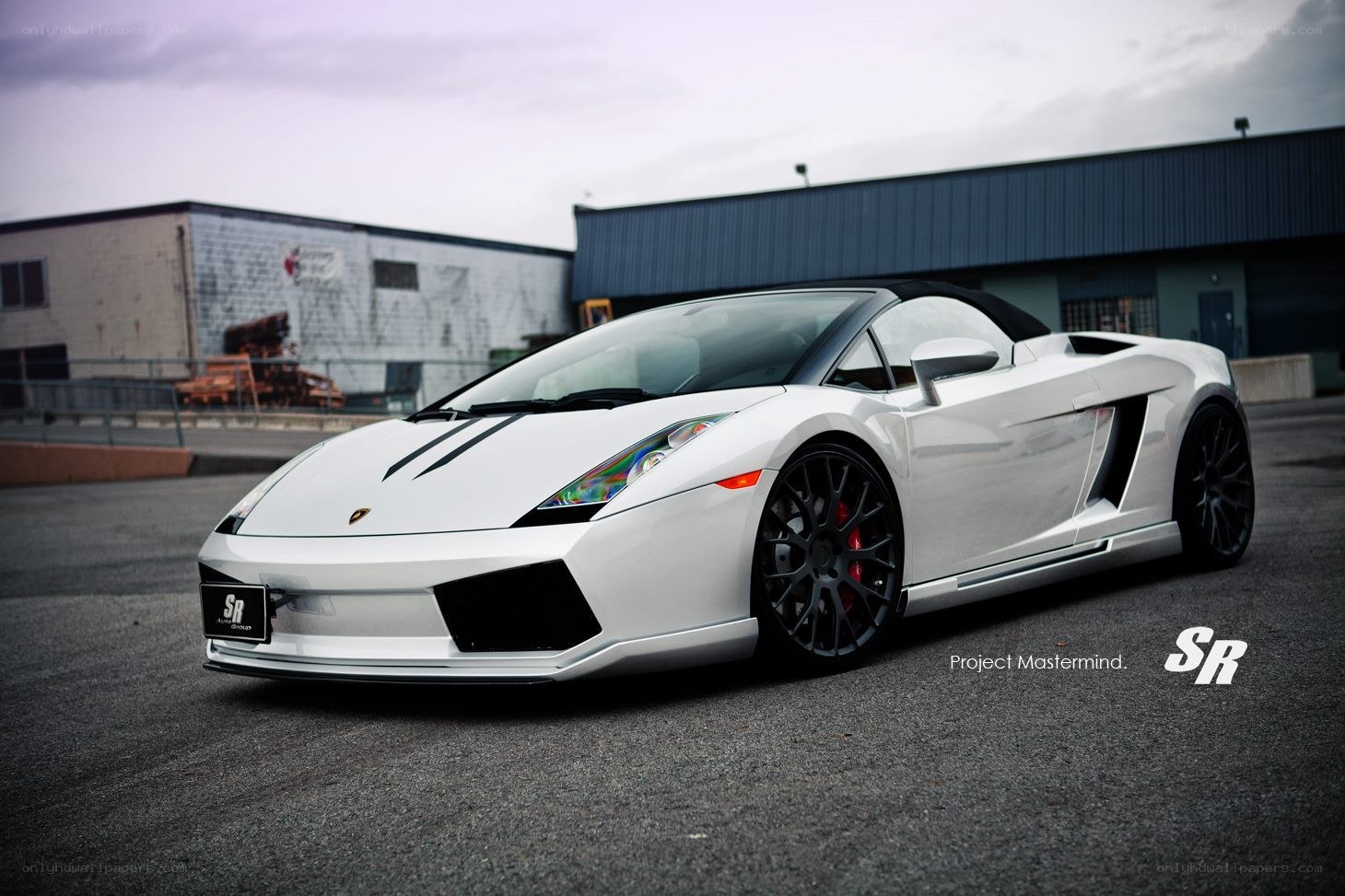 White Lamborghini Gallardo