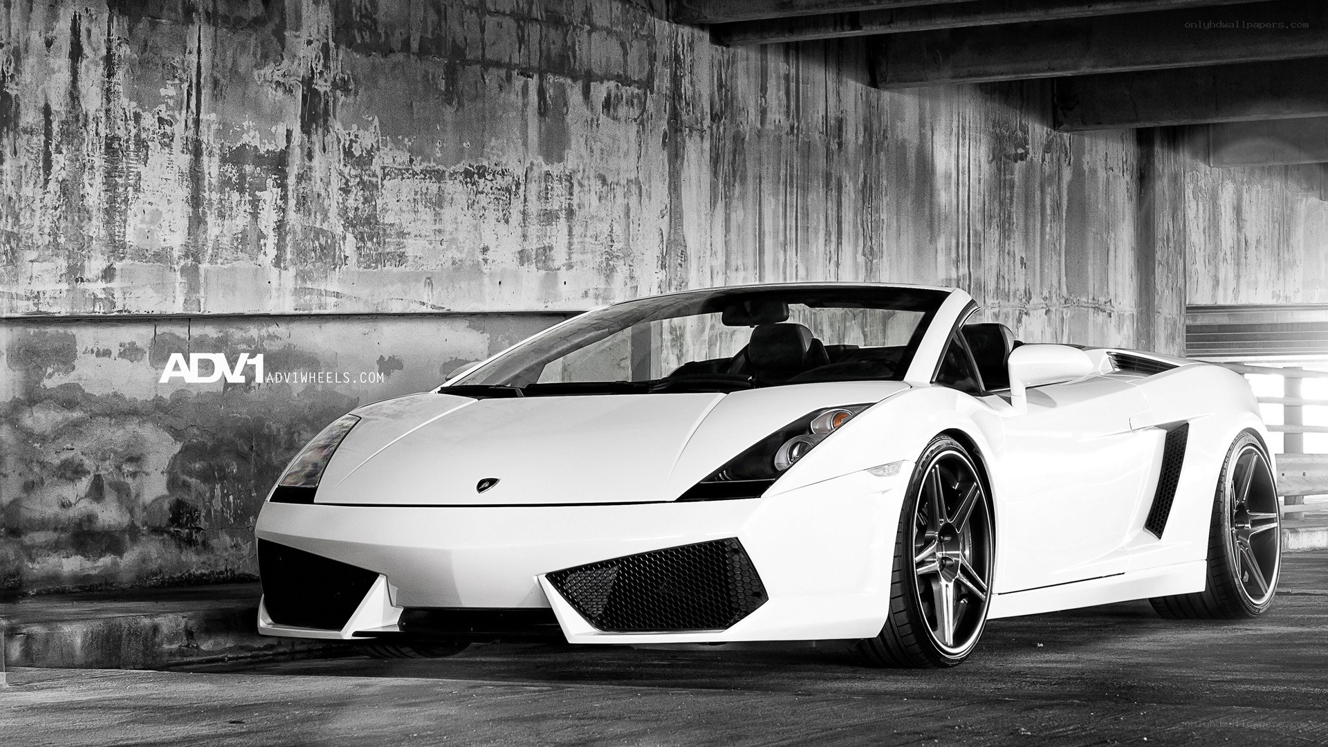 White Lamborghini Gallardo