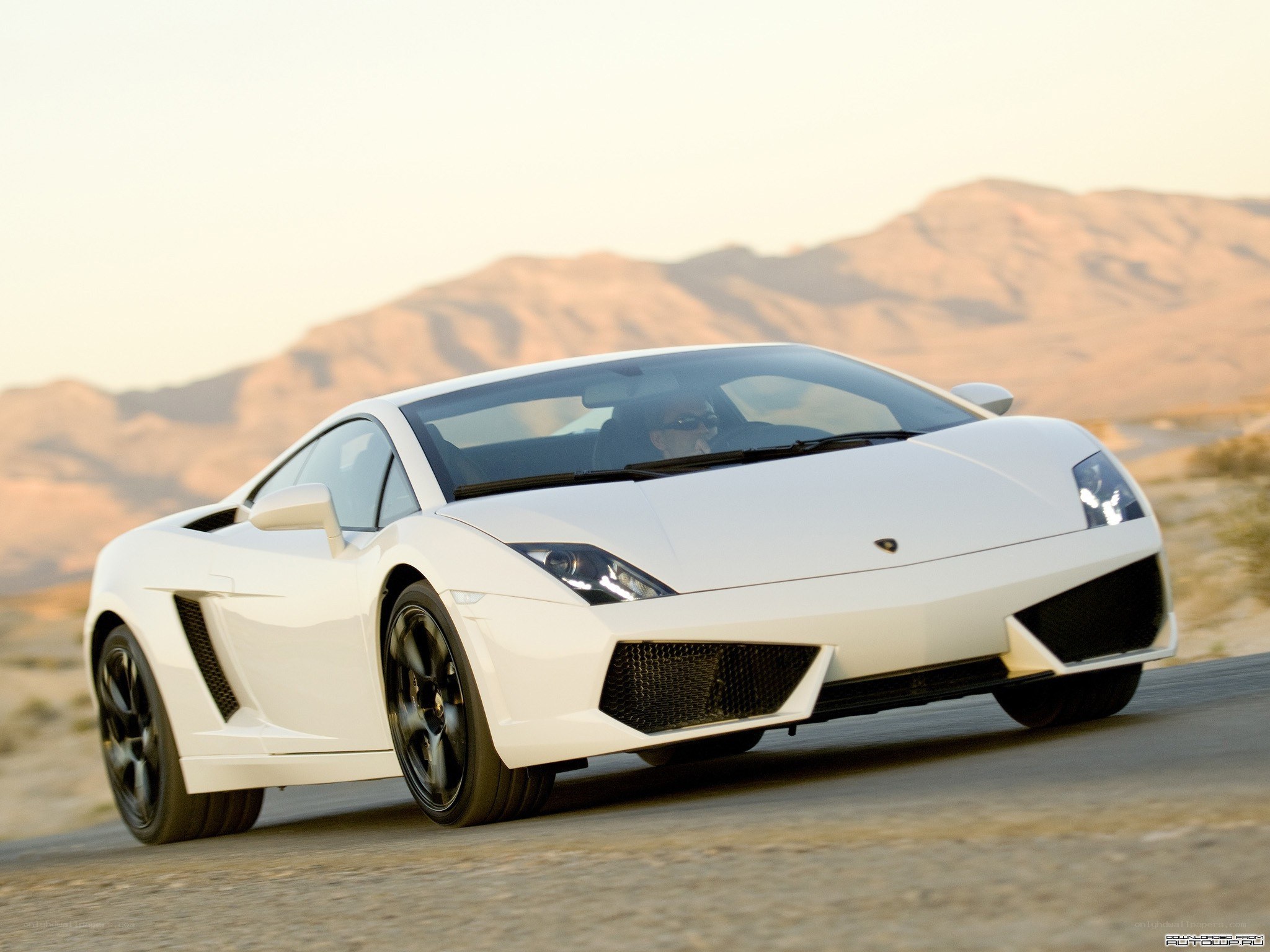 White Lamborghini Gallardo