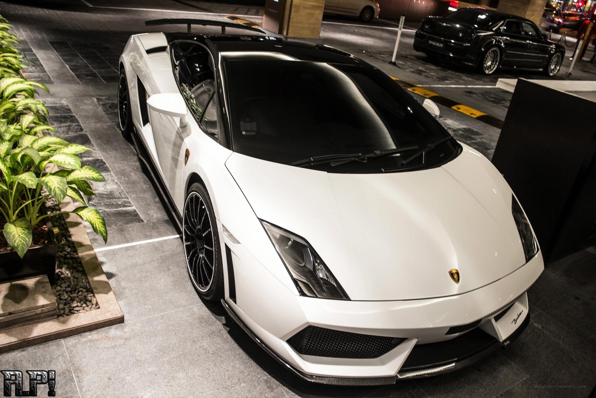 White Lamborghini Gallardo