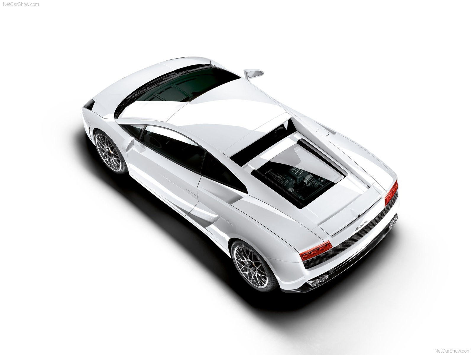 white lamborghini gallardo