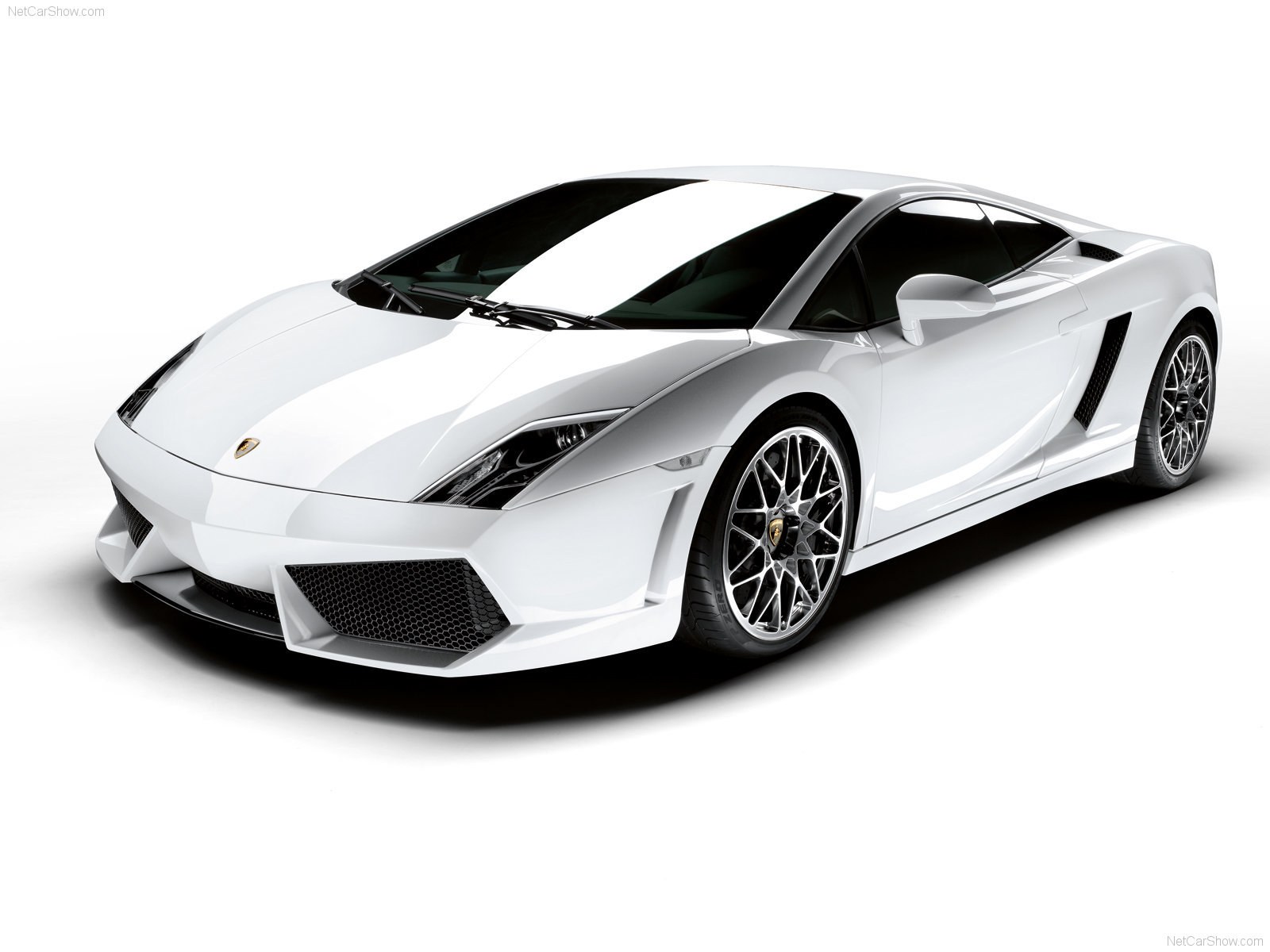 white lamborghini gallardo