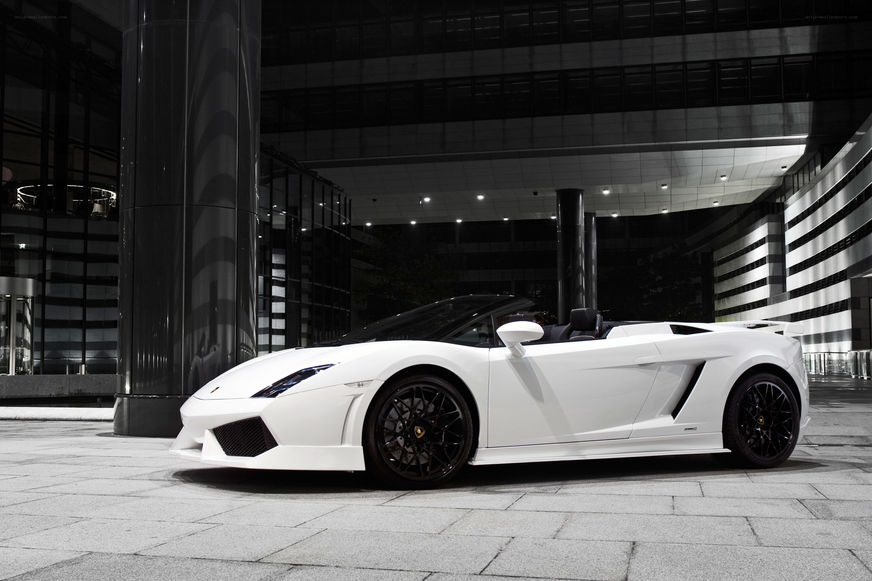 White Lamborghini Gallardo
