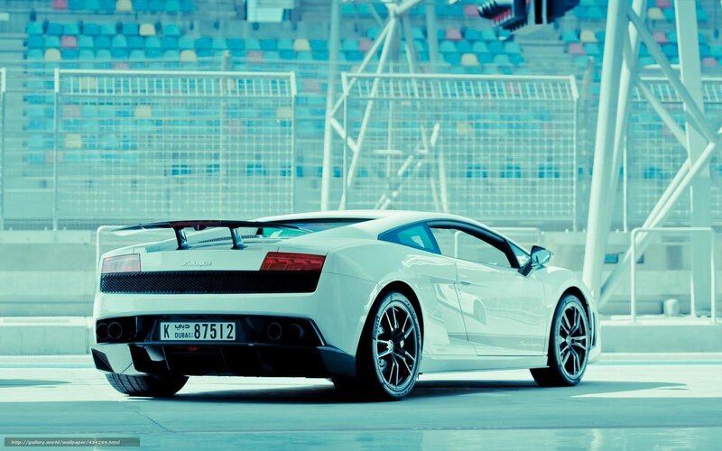 White Lamborghini Gallardo — Calm, Photograph