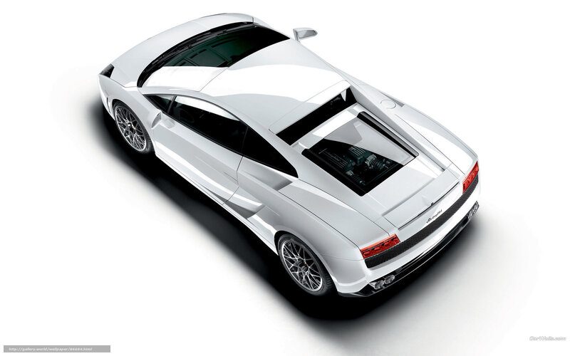 White Lamborghini Gallardo — Clean, Modern