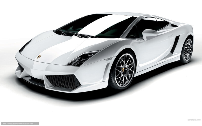 White Lamborghini Gallardo — Clean, Photograph, Car, Wheels
